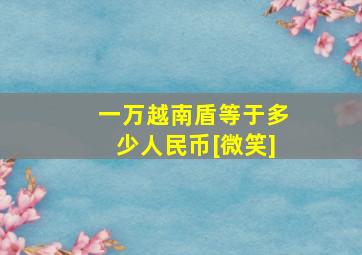 一万越南盾等于多少人民币[微笑]